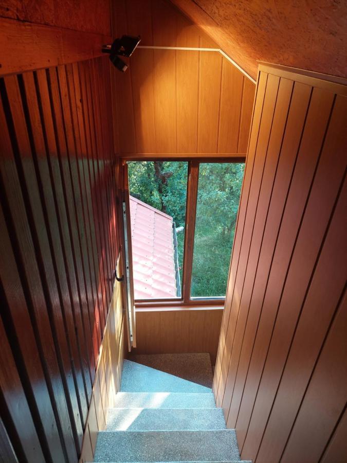 Cabană cu teren de tenis Banita Exterior foto