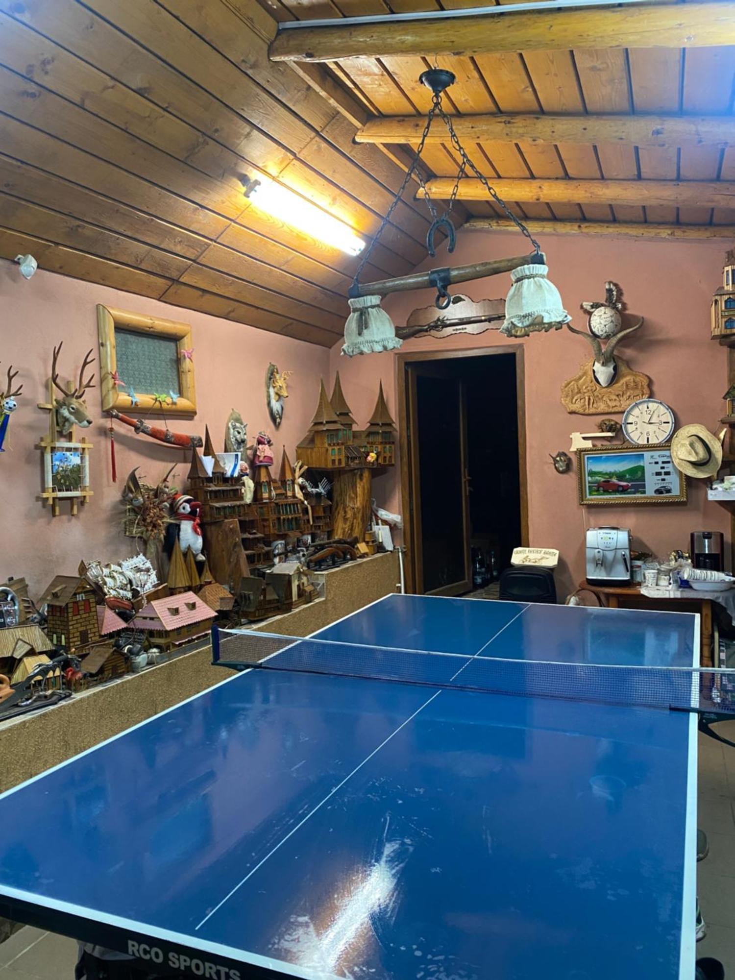 Cabană cu teren de tenis Banita Exterior foto